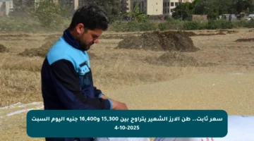 سعر ثابت.. طن الأرز الشعير يتراوح بين 15,300 و16,400 جنيه اليوم السبت 4-10-2025